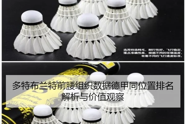多特布兰特前腰组织数据德甲同位置排名解析与价值观察